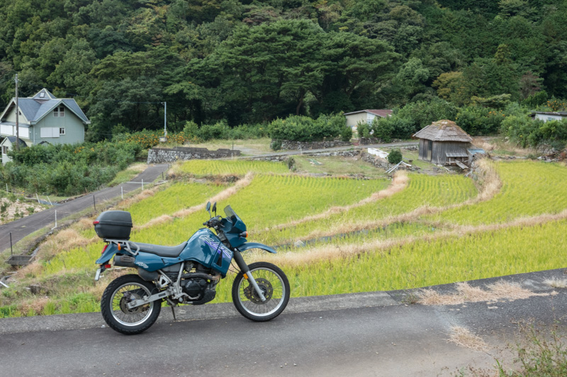 伊豆・林道ツーリング