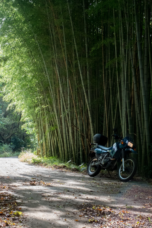 伊豆・林道ツーリング