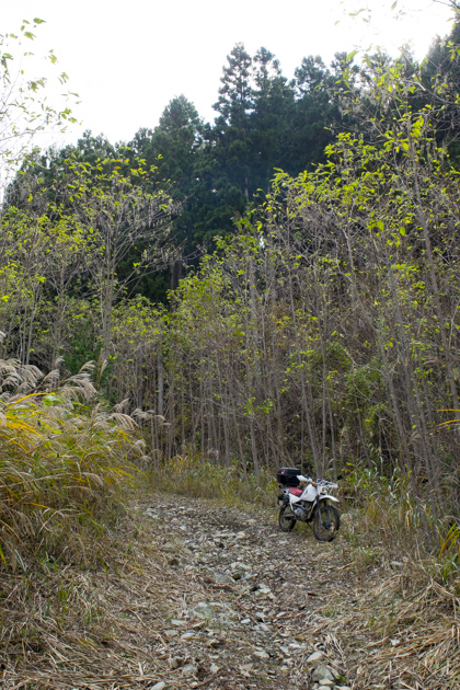 道志村の林道を10本を走るツーリング