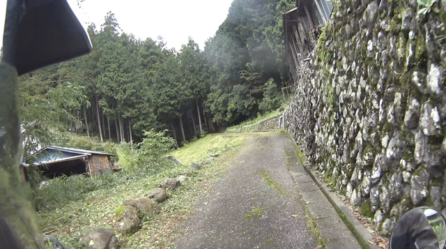 林道・桐の木平線の舗装路区間