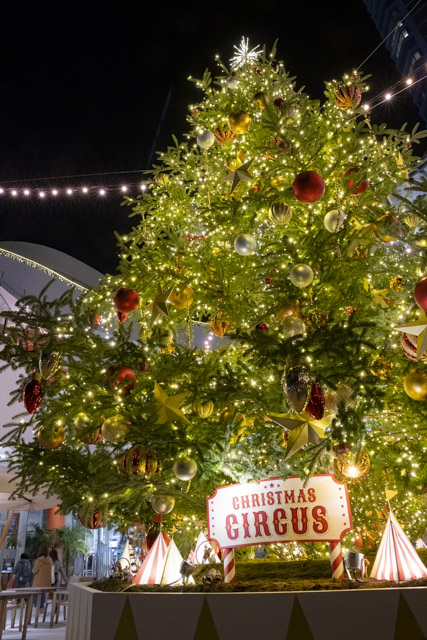 ベイクォーターのクリスマスツリー・横浜のイルミネーション散策