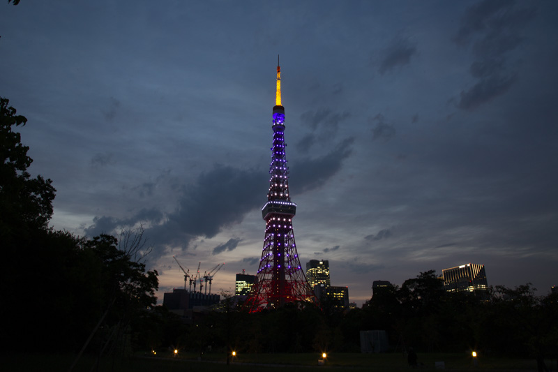 6月藤色にライトアップされた東京タワー