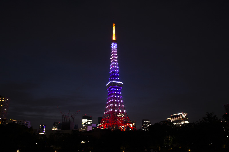 6月藤色にライトアップされた東京タワー