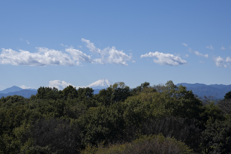 六道山公園展望台からの風景