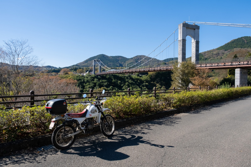 戸川公園・風の吊橋