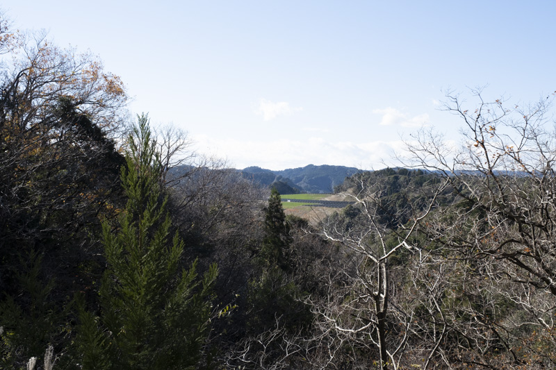 千葉・大福山林道