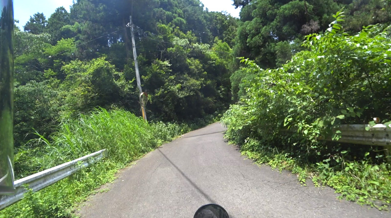 穴川林道（神奈川県）