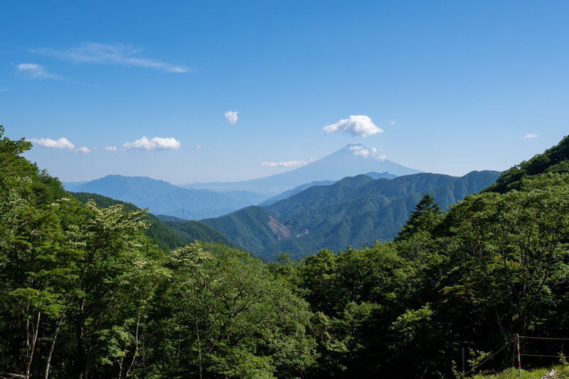 真木小金沢林道・大峠からの富士山