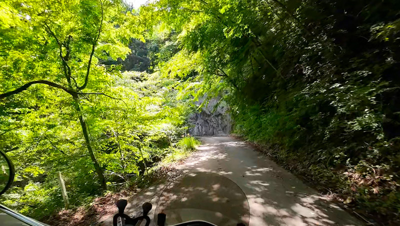 奈良子林道