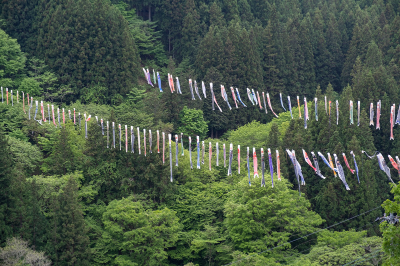 林道 稲含高倉線（群馬）