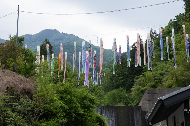 林道 稲含高倉線（群馬）