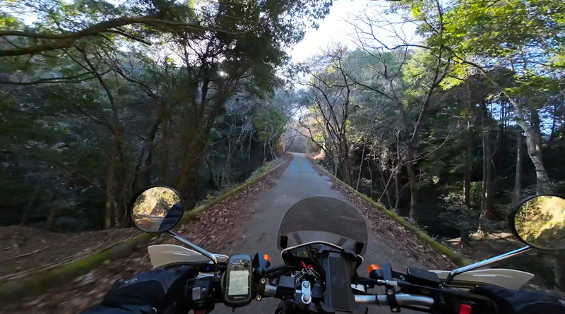 林道 香木原線（千葉）