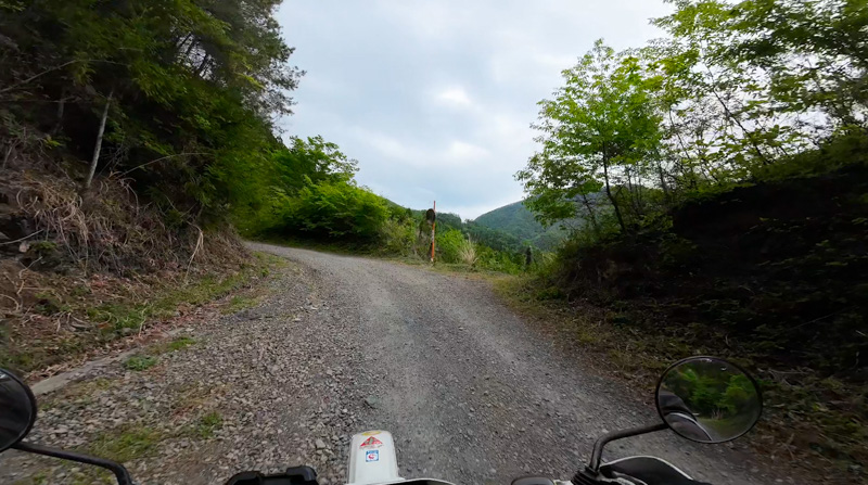 林道 稲含高倉線（群馬）