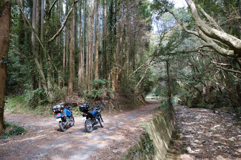 林道 大沢線・珠師ヶ谷線（千葉）