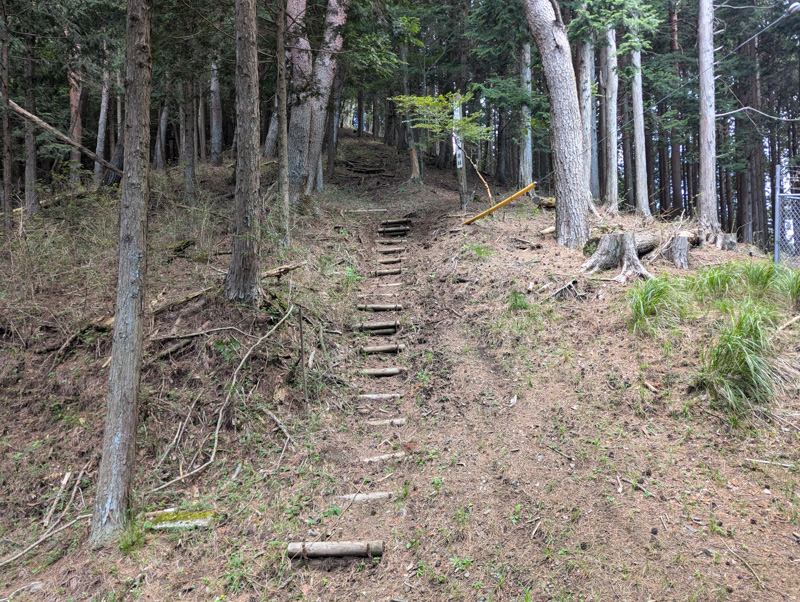 菜畑山への登山道