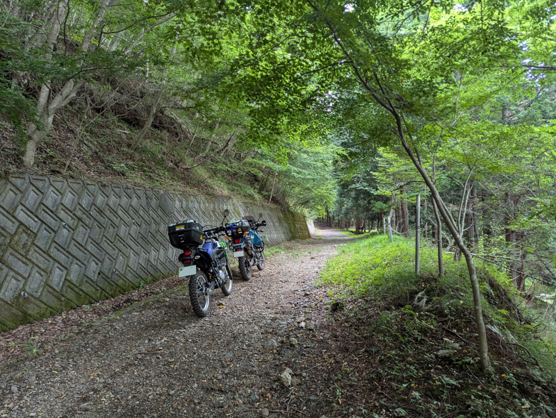 林道 大明見線