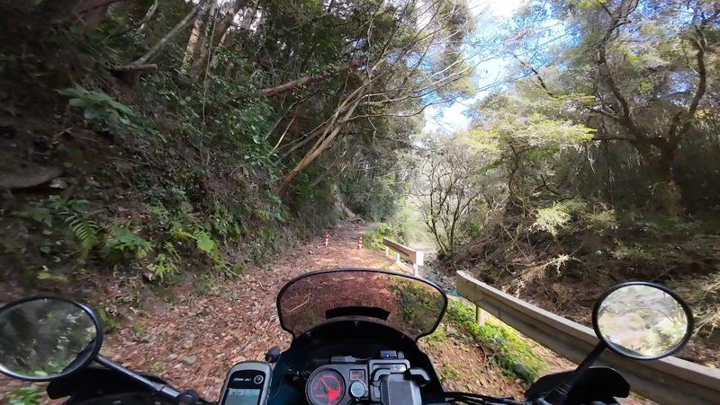 林道 大沢線・珠師ヶ谷線（千葉）