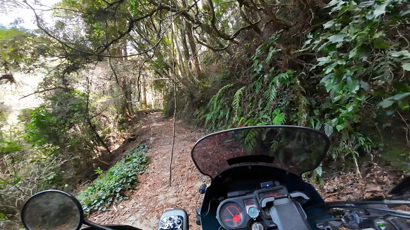 林道 大沢線・珠師ヶ谷線（千葉）