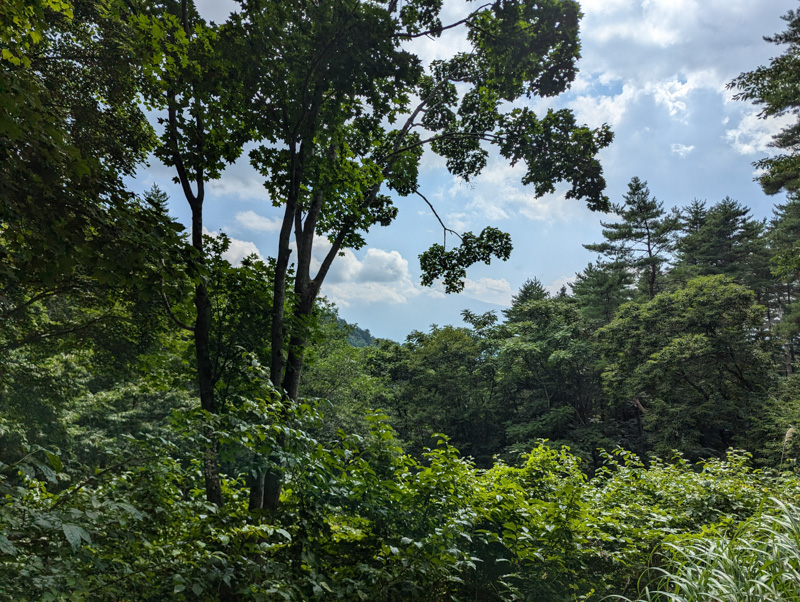 林道 大明見線（山梨）