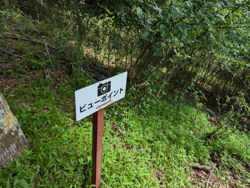 林道 大明見線（山梨）