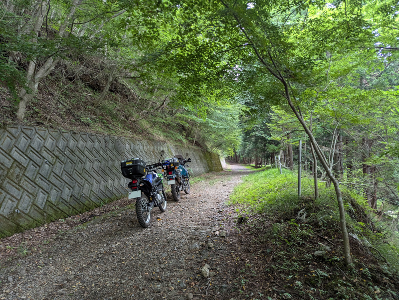 林道 大明見線（山梨）