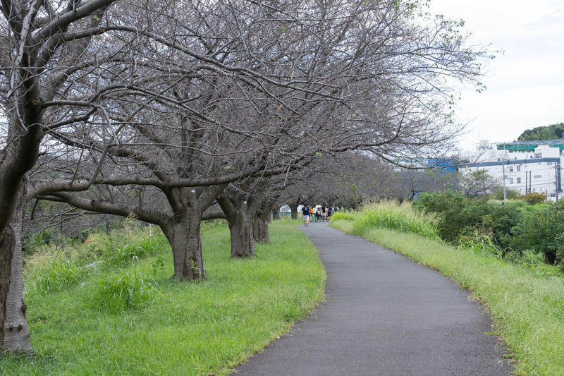 新横浜自転車散歩