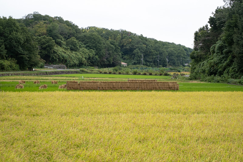 寺家ふるさと村