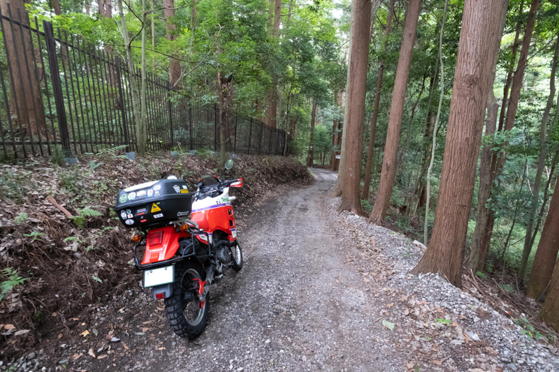 緑を堪能できる道