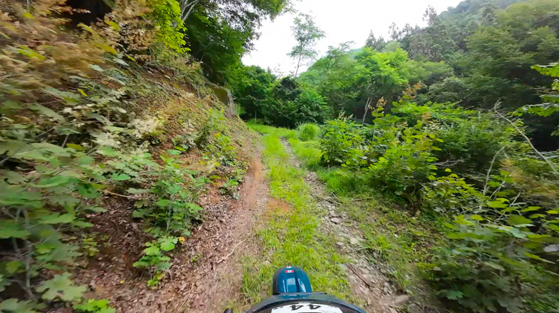 林道 大明見線（山梨）