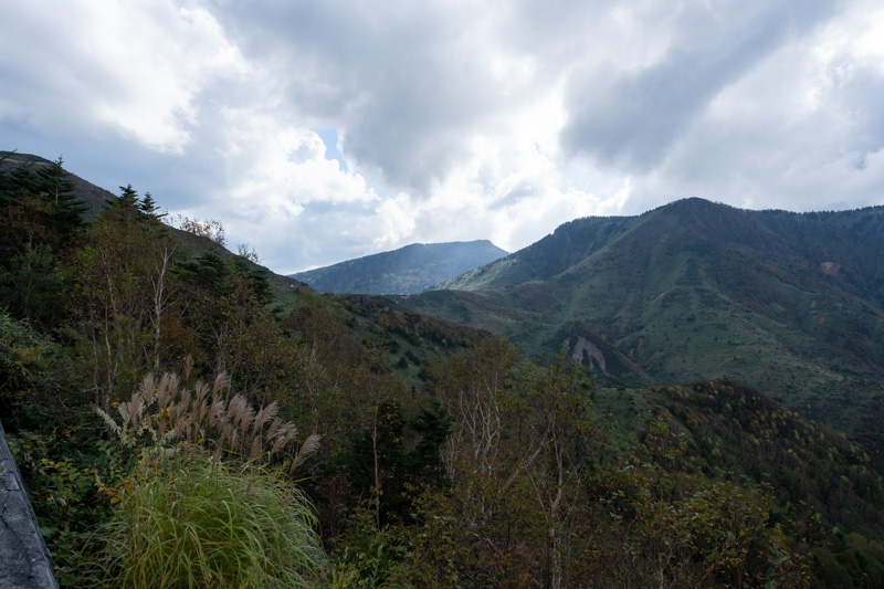 湯沢林道（長野）