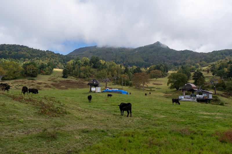 山田牧場