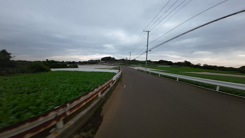 大根丘陵