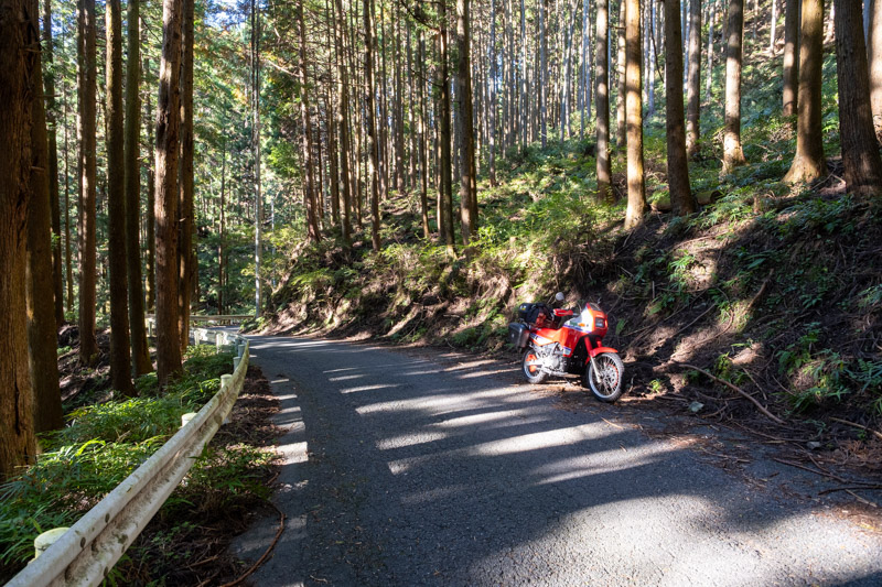 埼玉県道395号線