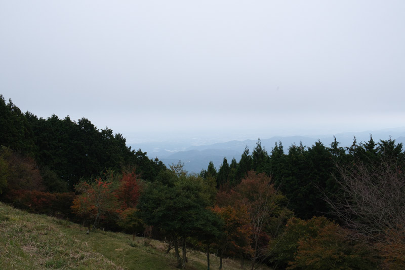 堂平天文台キャンプ場