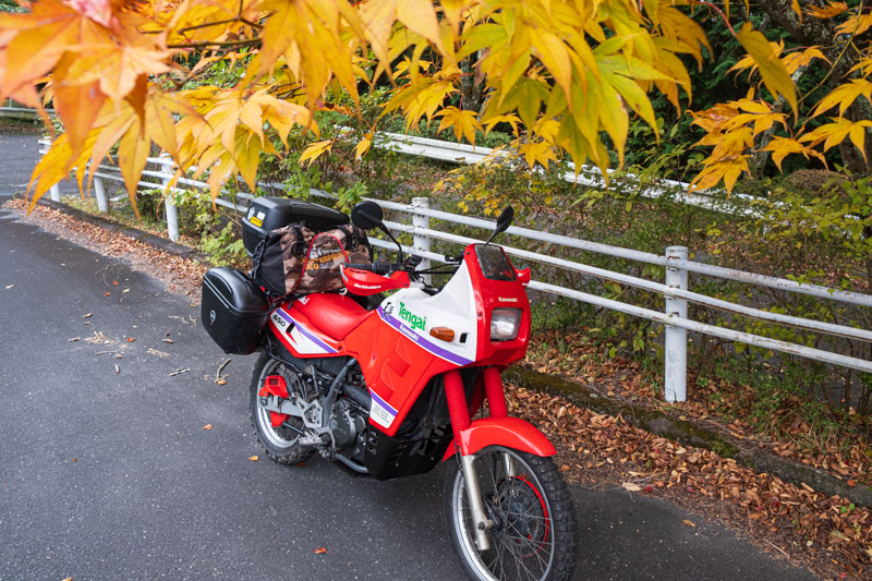 県民の森の紅葉