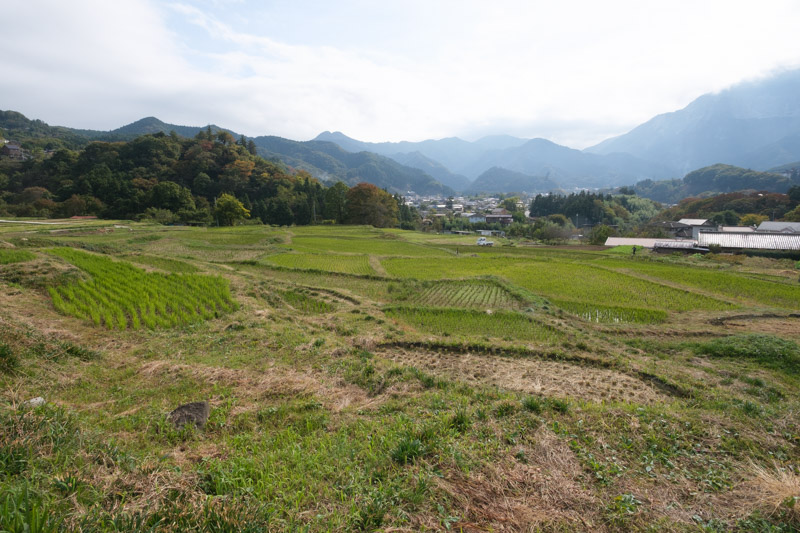 寺坂棚田