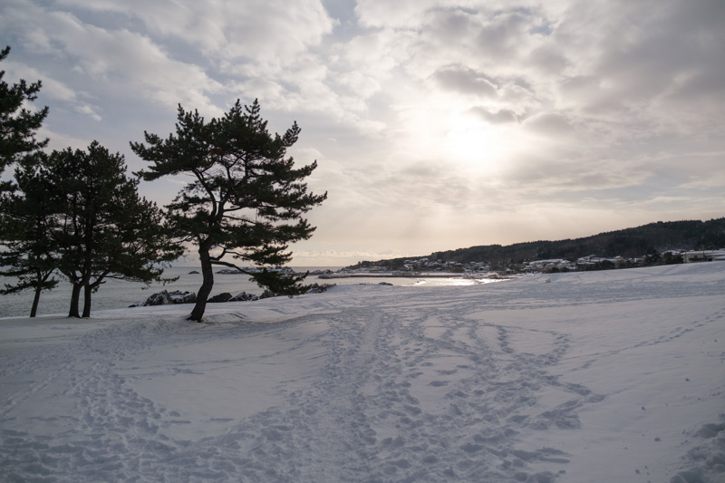 種差海岸