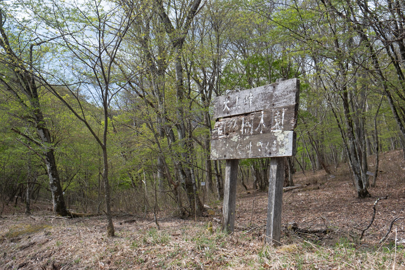 林道 大上線（群馬・長野）