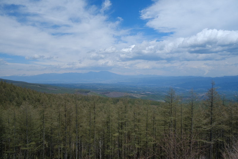 レストハウスふるさとからの風景