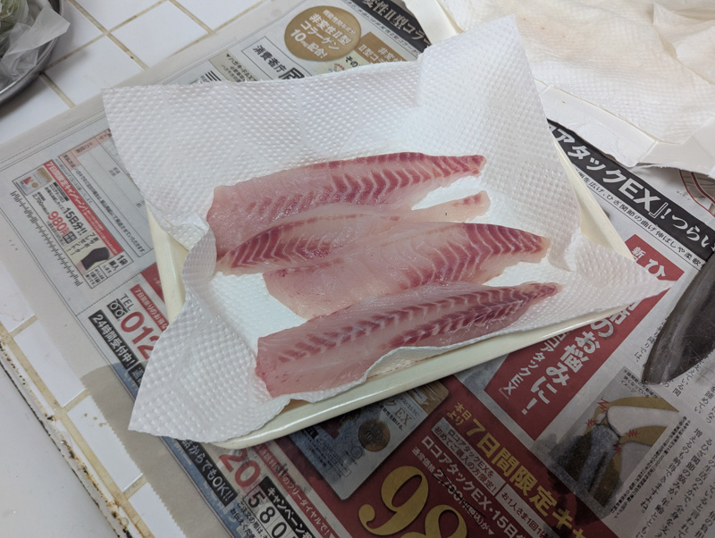 メジナの刺身