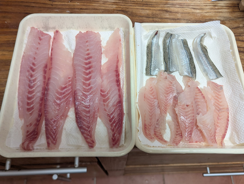 釣果