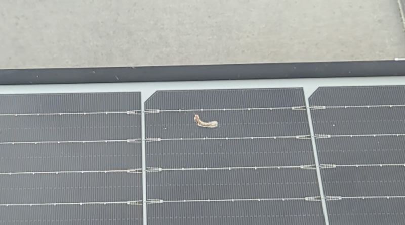太陽光発電パネル上の鳥のフン