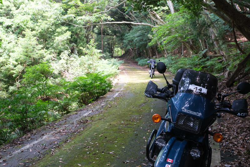 林道 上岩穴線