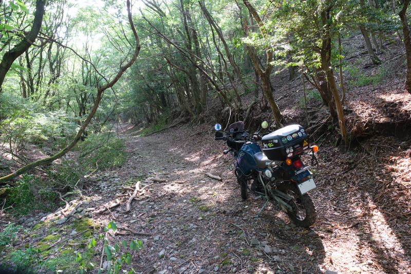 年川林道