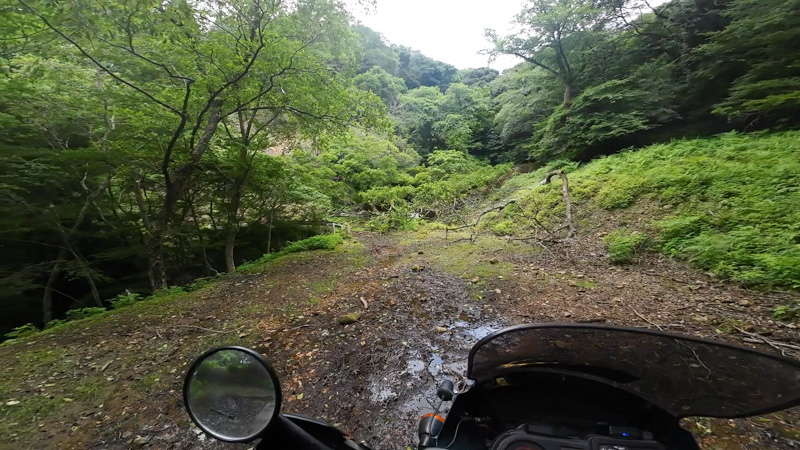 上池林道