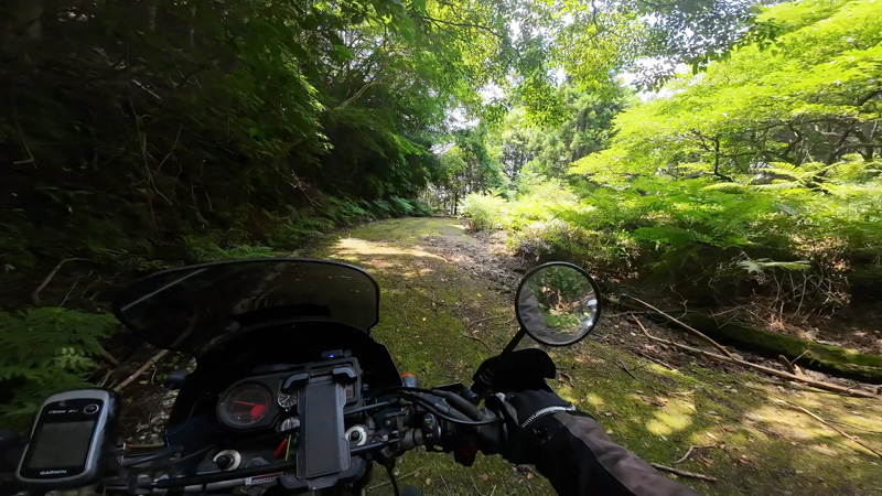 林道 上岩穴線