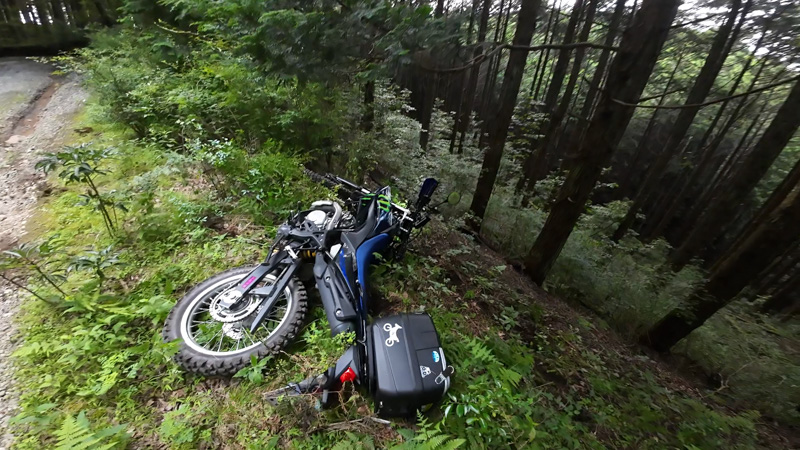 達磨山林道支線