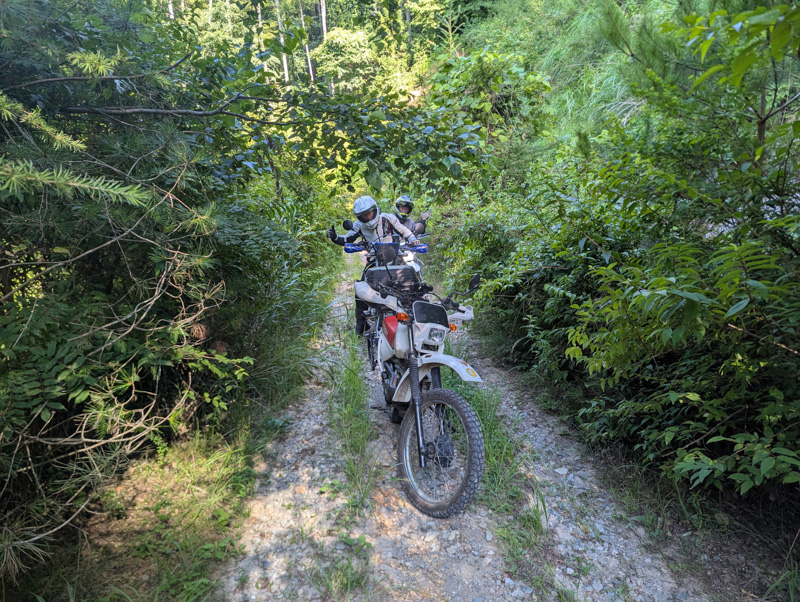 林道 田口十石峠線（長野）