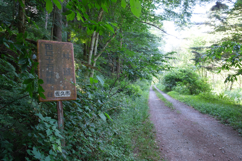 林道 田口十石峠線（長野）