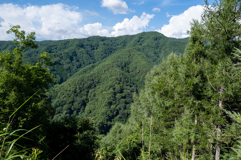 林道 田口十石峠線（長野）